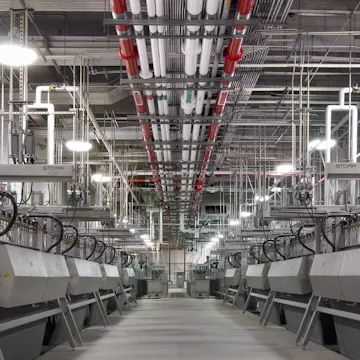 Sanderson Farms Food Processing